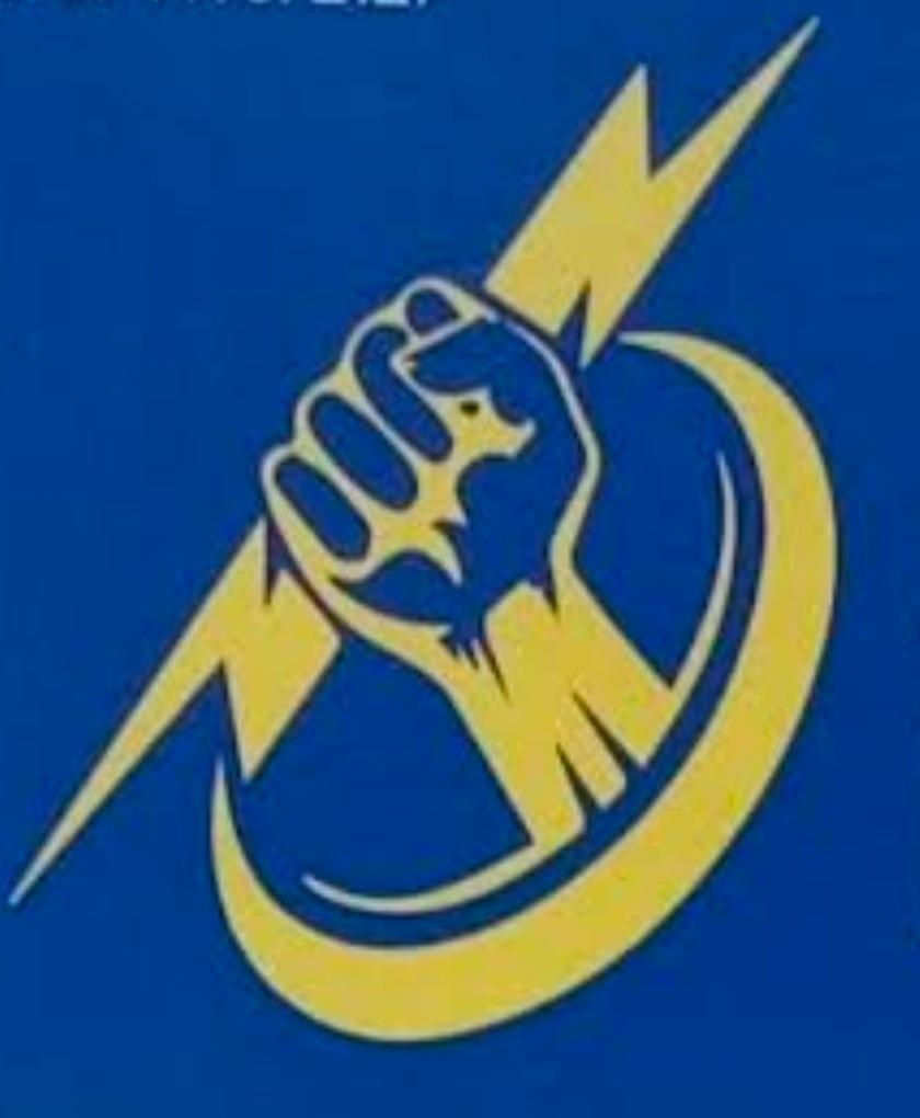 Ann Electricals Logo